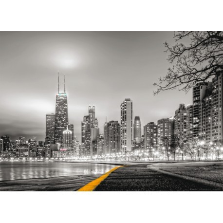 FOTOTAPET ORASE - CHICAGO