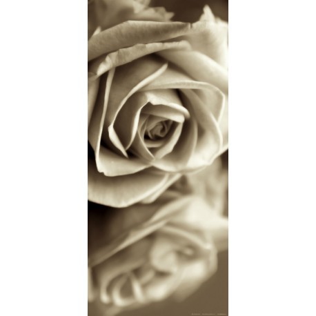 FOTOTAPET TRANDAFIRI VINTAGE