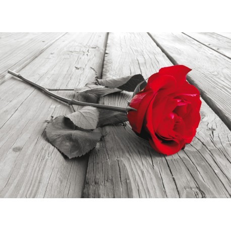 FOTOTAPET FLORAL TRANDAFIR ROSU