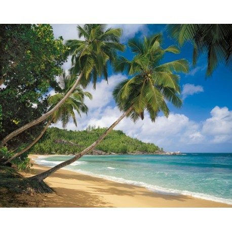 FOTOTAPET PLAJA SEYCHELLES CU PALMIERI