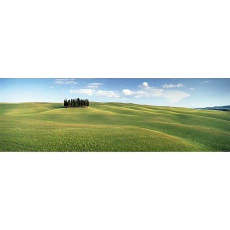 FOTOTAPET PAJISTE TOSCANA