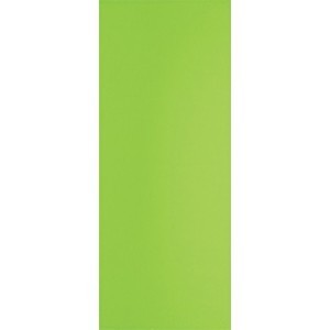 FAIANTA PENTRU BAIE SI BUCATARIE VERDE ELEMENT 20X50 CM