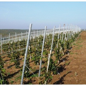 SPALIER CAPAT DIN OTEL ZINCAT DX51 H-2500MM CU GROSIMEA DE 2MM