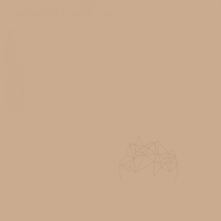 CHIT ROSTURI - WEBER COLOR DESIGN MOCHA (5KG)