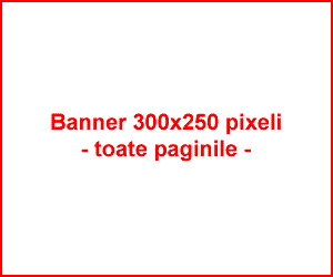 Banner 300x250 toate paginile