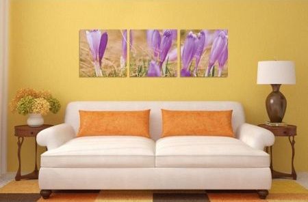 Tablou canvas Branduse