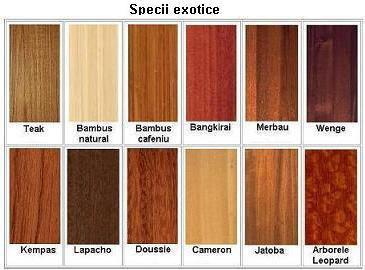 Specii exotice de lemn