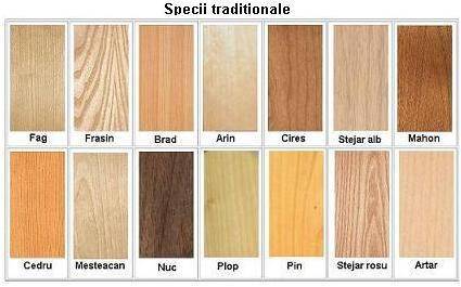 Specii traditionale de lemn