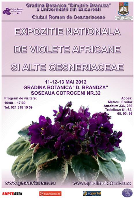 Expozitie Nationala de Violete Africane si alte Gesneriaceae Mai 2012