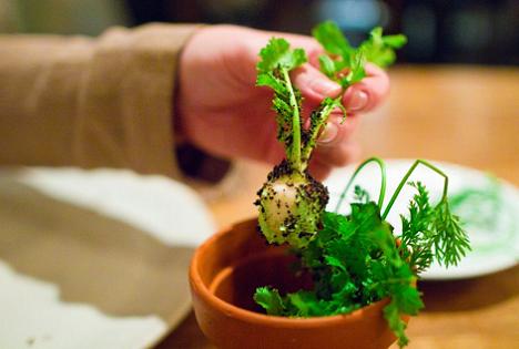 Meniuri Noma, cel mai bun restaurant din lume