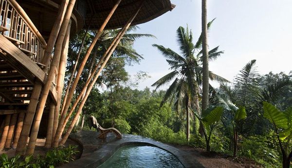 Casa bambus - piscina