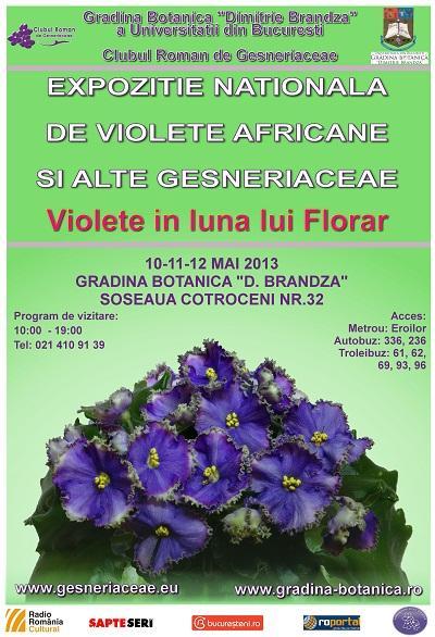 Expozitie Nationala de Violete Africane si alte Gesneriaceae Mai 2013