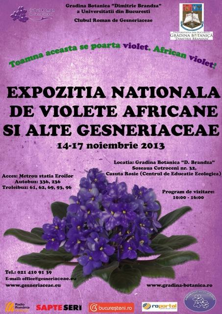 Expozitie Nationala de Violete Africane si alte Gesneriaceae Noiembrie 2013