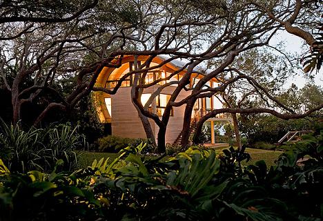 Casa de oaspeti - arhitectura organica