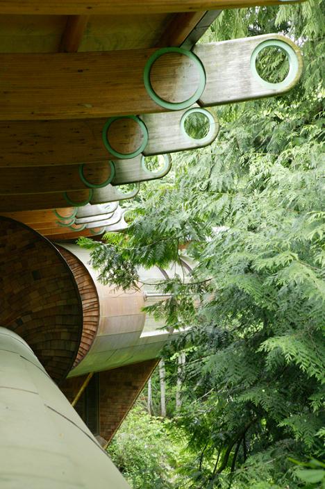 Arhitectura organica - casa printre copaci