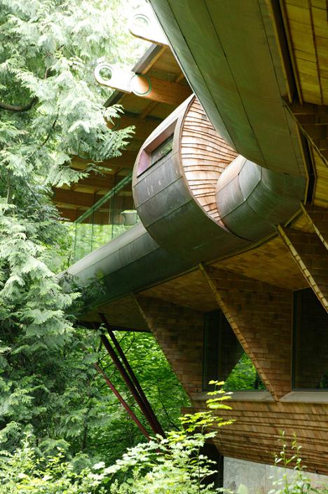 Arhitectura organica - casa printre copaci