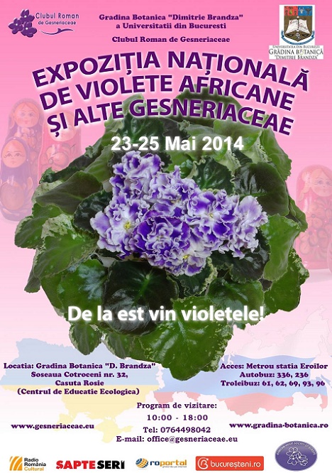 Expozitie Nationala de Violete Africane si alte Gesneriaceae Noiembrie 2014