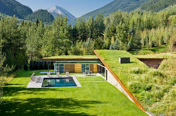Casa de oaspeti acoperita cu iarba