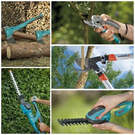 Ingrijire copaci si arbusti