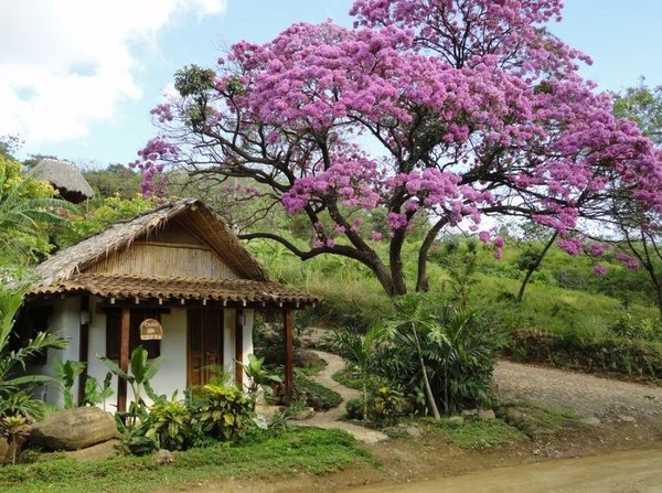 Casa ecologica construita din saci umpluti cu pamant, un proiect de promovare a caselor naturale