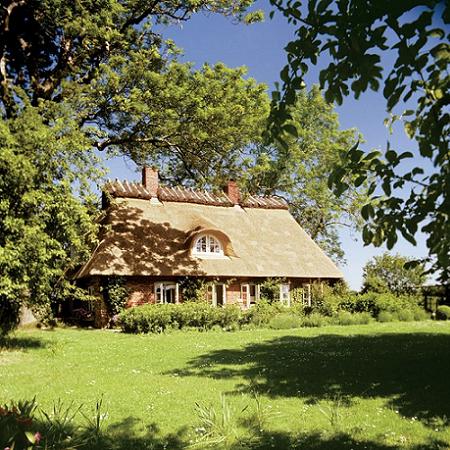 Casa cu acoperis de stuf si curte cu iarba