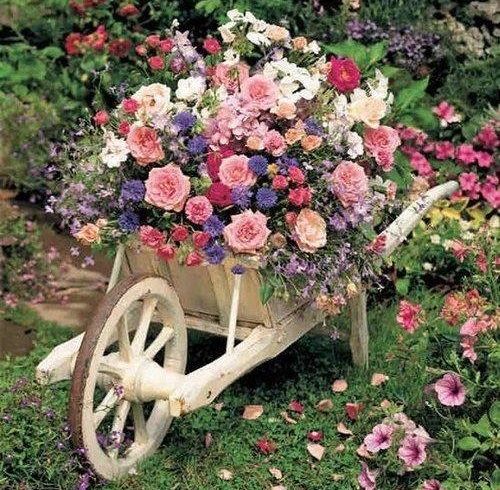 Roaba vintage cu flori