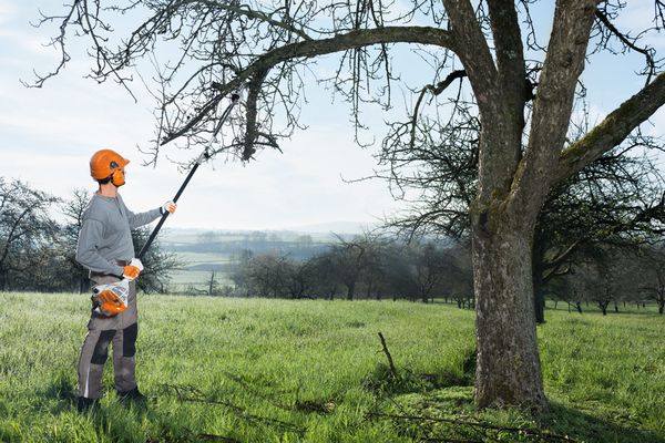 Emondor inaltime STIHL