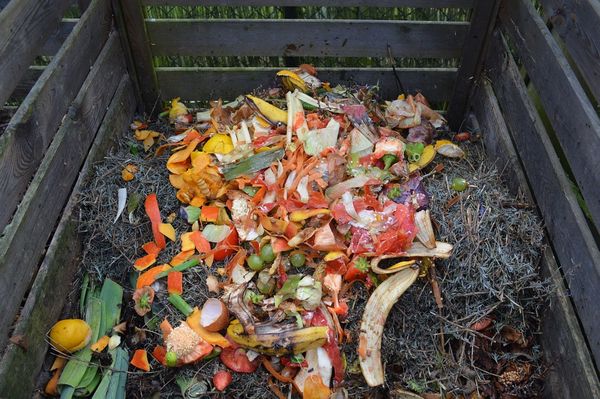 Lada compostare resturi casa si gradina