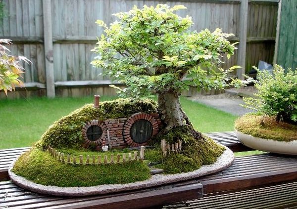 Casa hobbit, bonsai