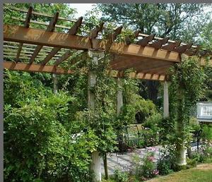 Pergola