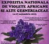 Expozitie Nationala de Violete Africane si alte Gesneriaceae Noiembrie 2013