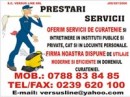 servicii profesionale de curatenie 1101