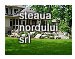 Firme Mobilier de gradina