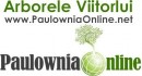 Firme Materiale de constructii