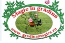 Firme Mobilier de gradina