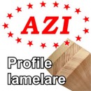 Firme Ferestre si usi