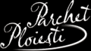 Firme Decoratiuni